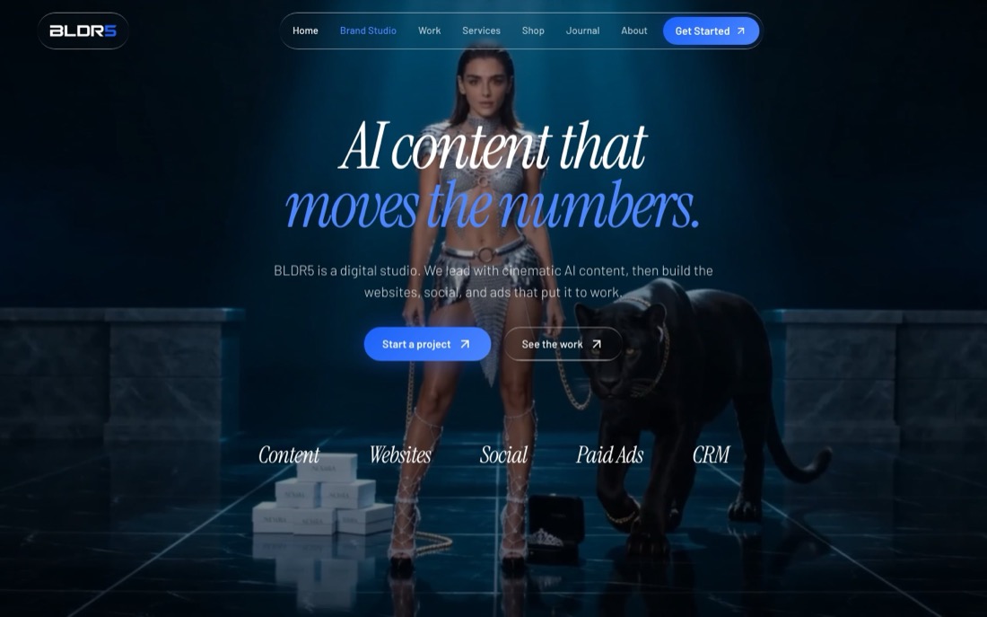 BLDR5 website